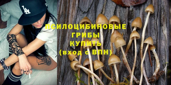 Альфа ПВП Беломорск